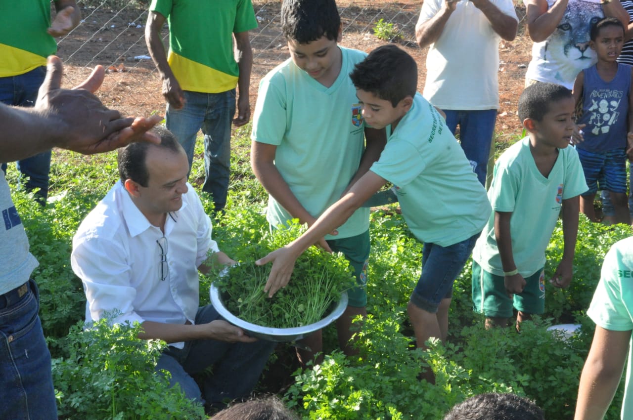 Prefeitura de Porto Nacional entrega primeira colheita da Horta Educativa para reforçar merenda das escolas e abrigos